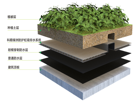 莳植屋面